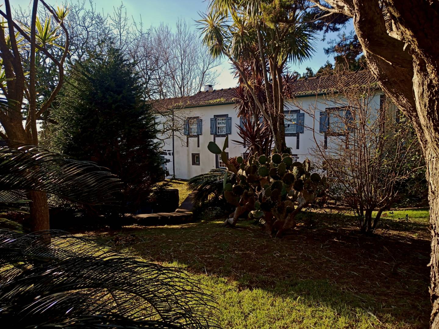 house garden privacy faial