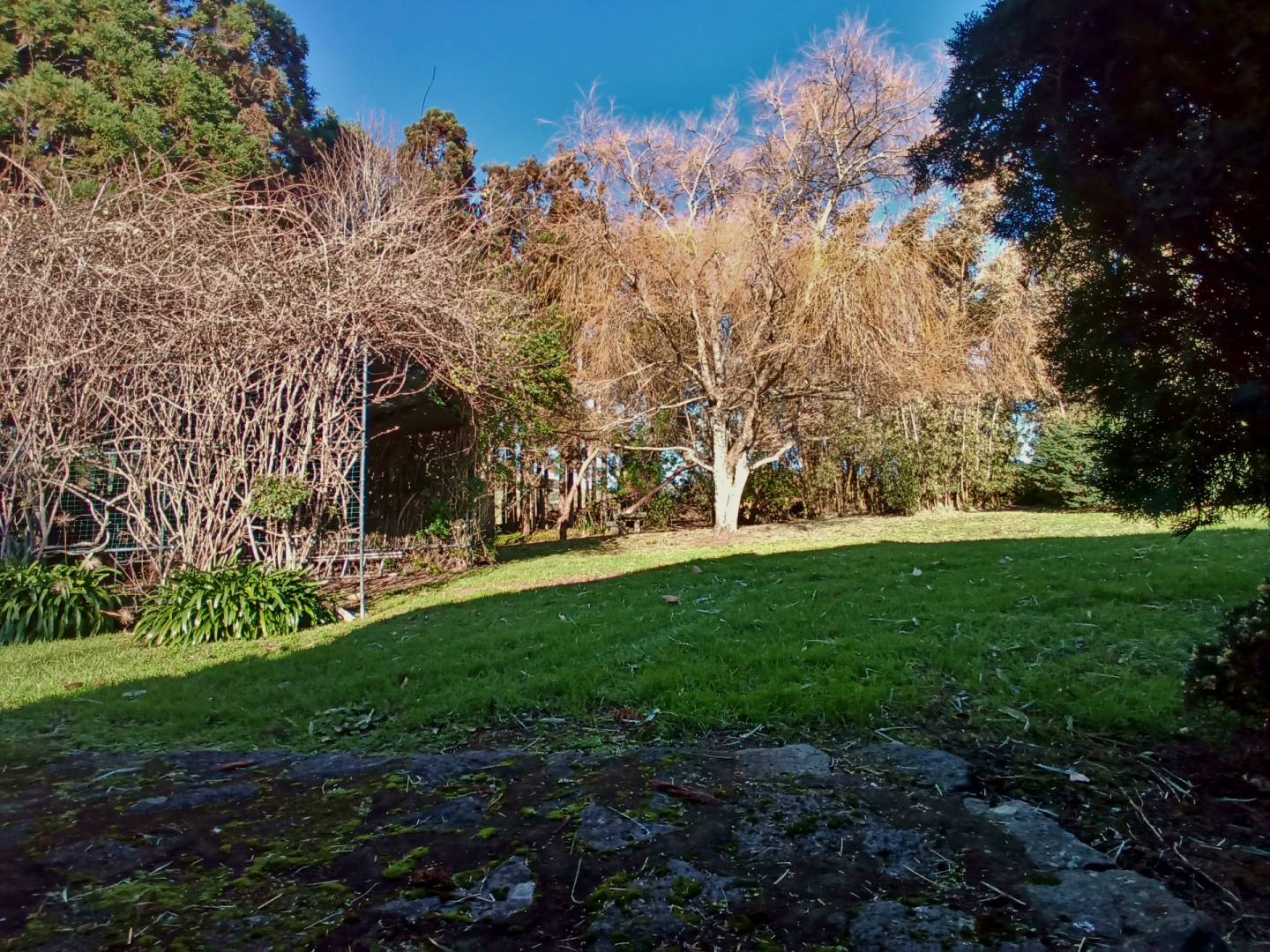 house garden privacy faial