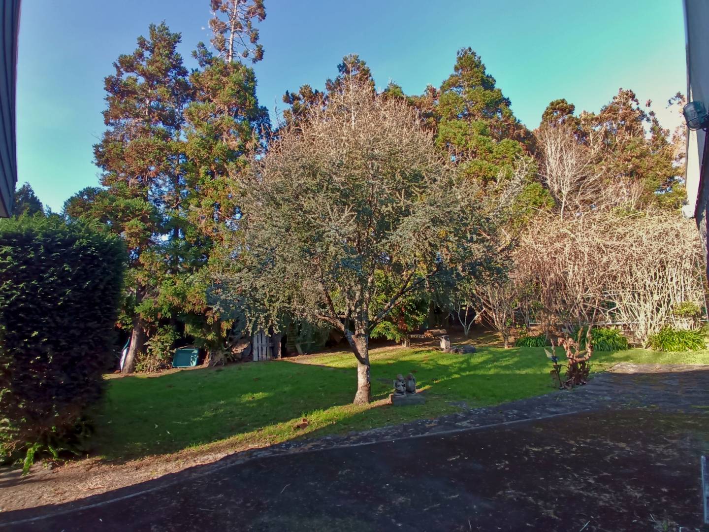 house garden privacy faial