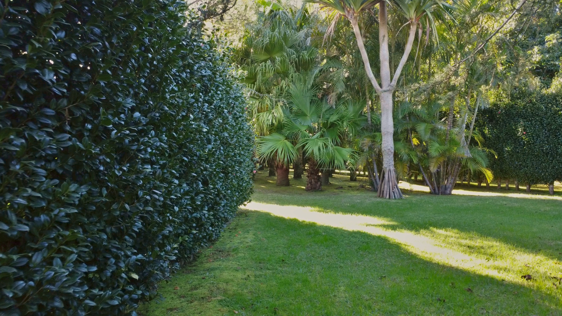 house garden privacy faial
