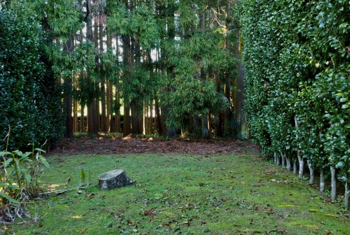 house garden privacy faial