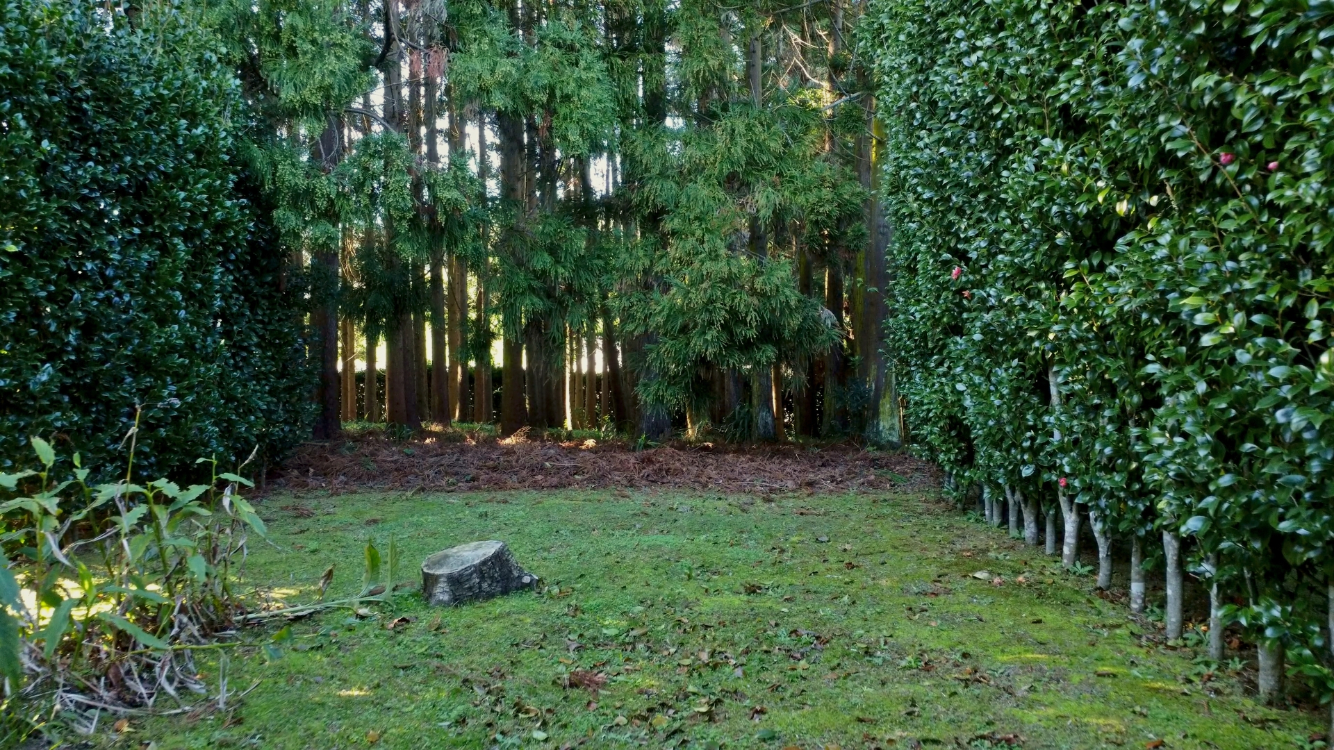 house garden privacy faial