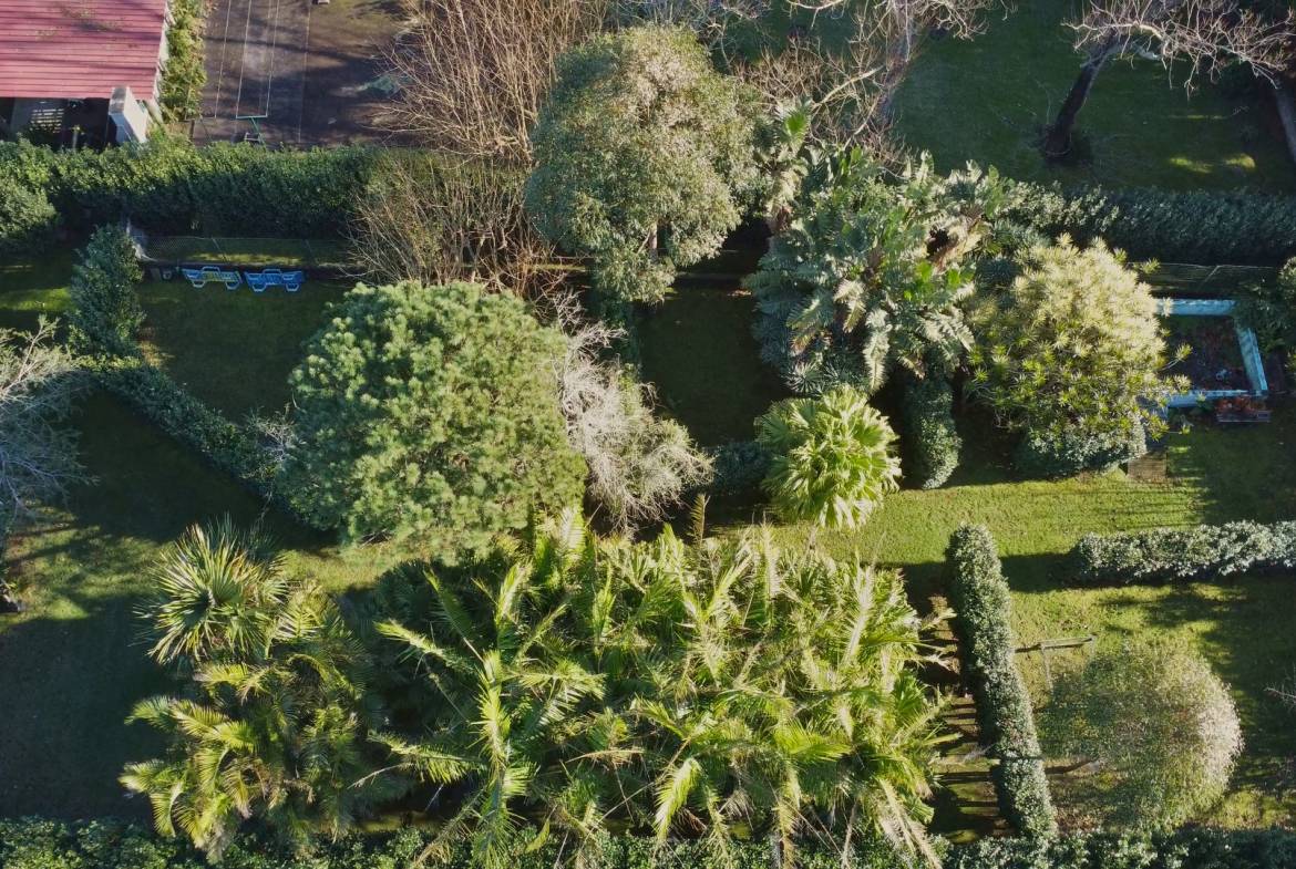 house garden privacy faial
