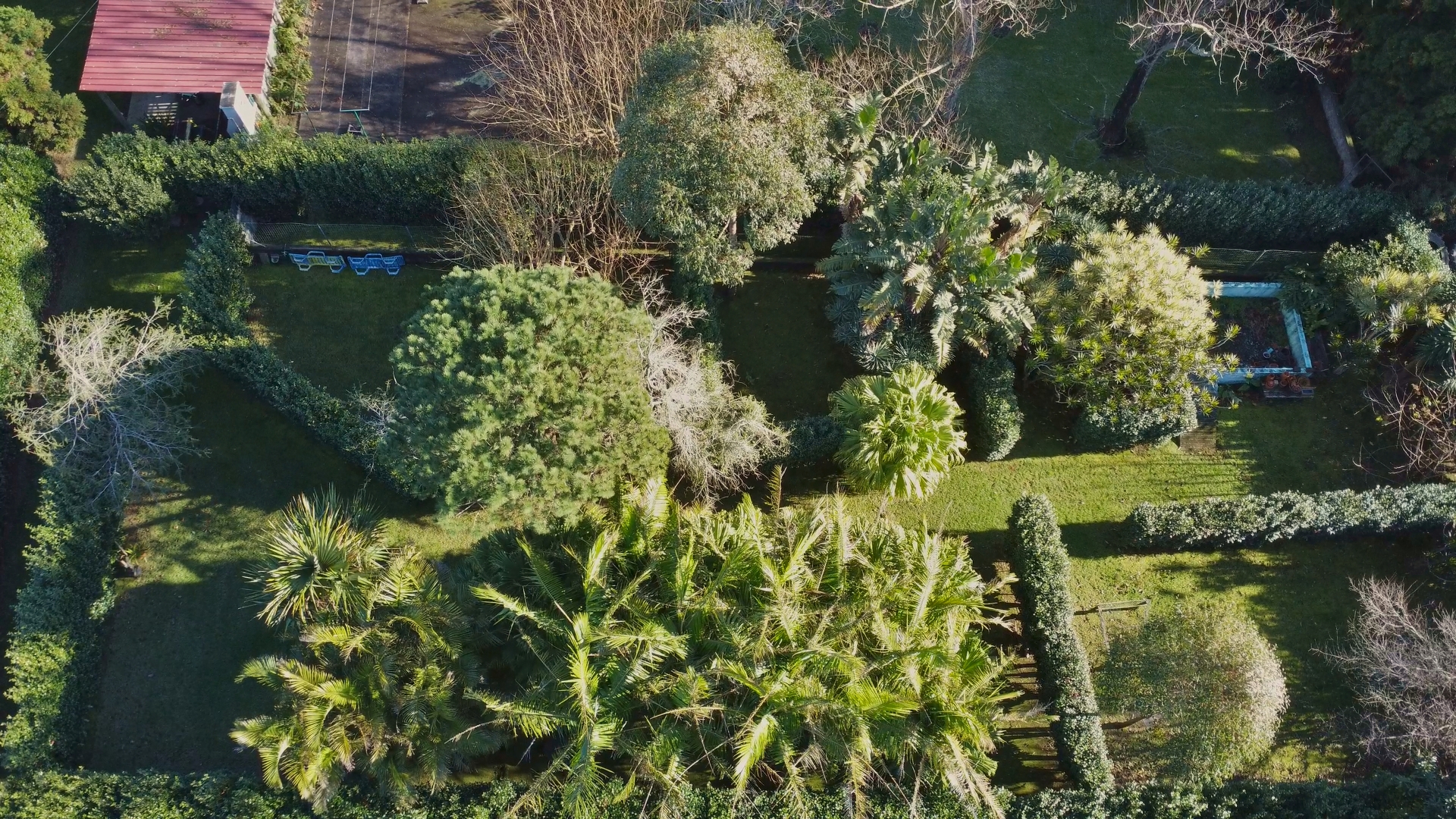 house garden privacy faial