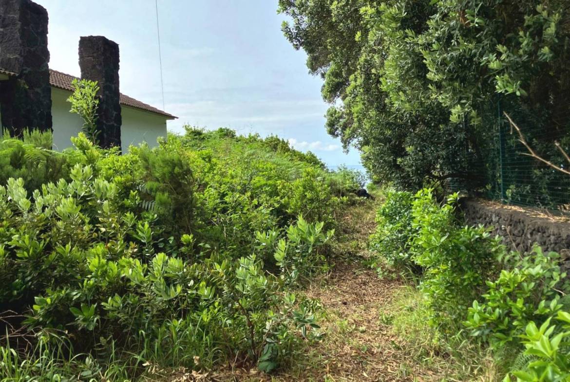 building plot seaside faial