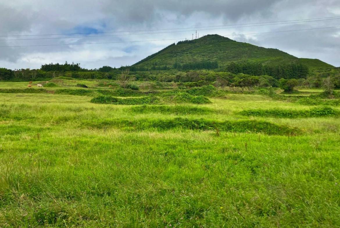 flat land south coast