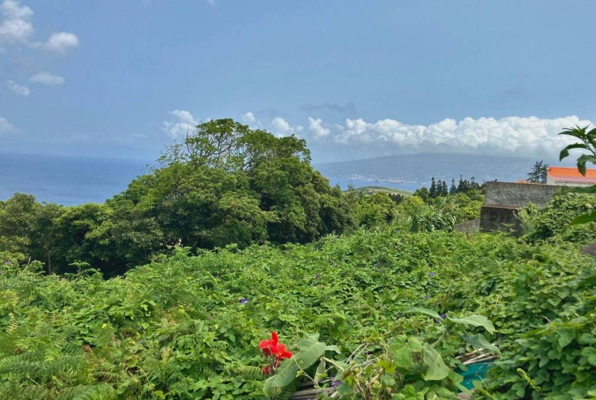 house land views faial