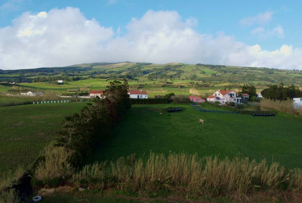 land ruin project faial