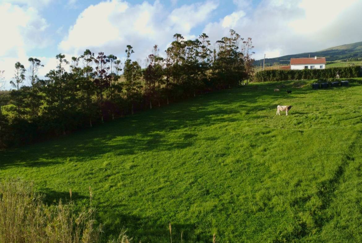 land ruin project faial