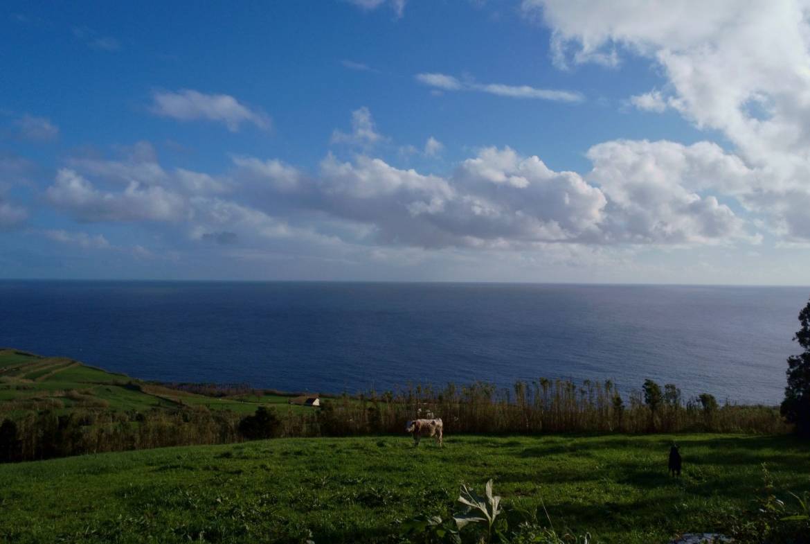 land ruin project faial