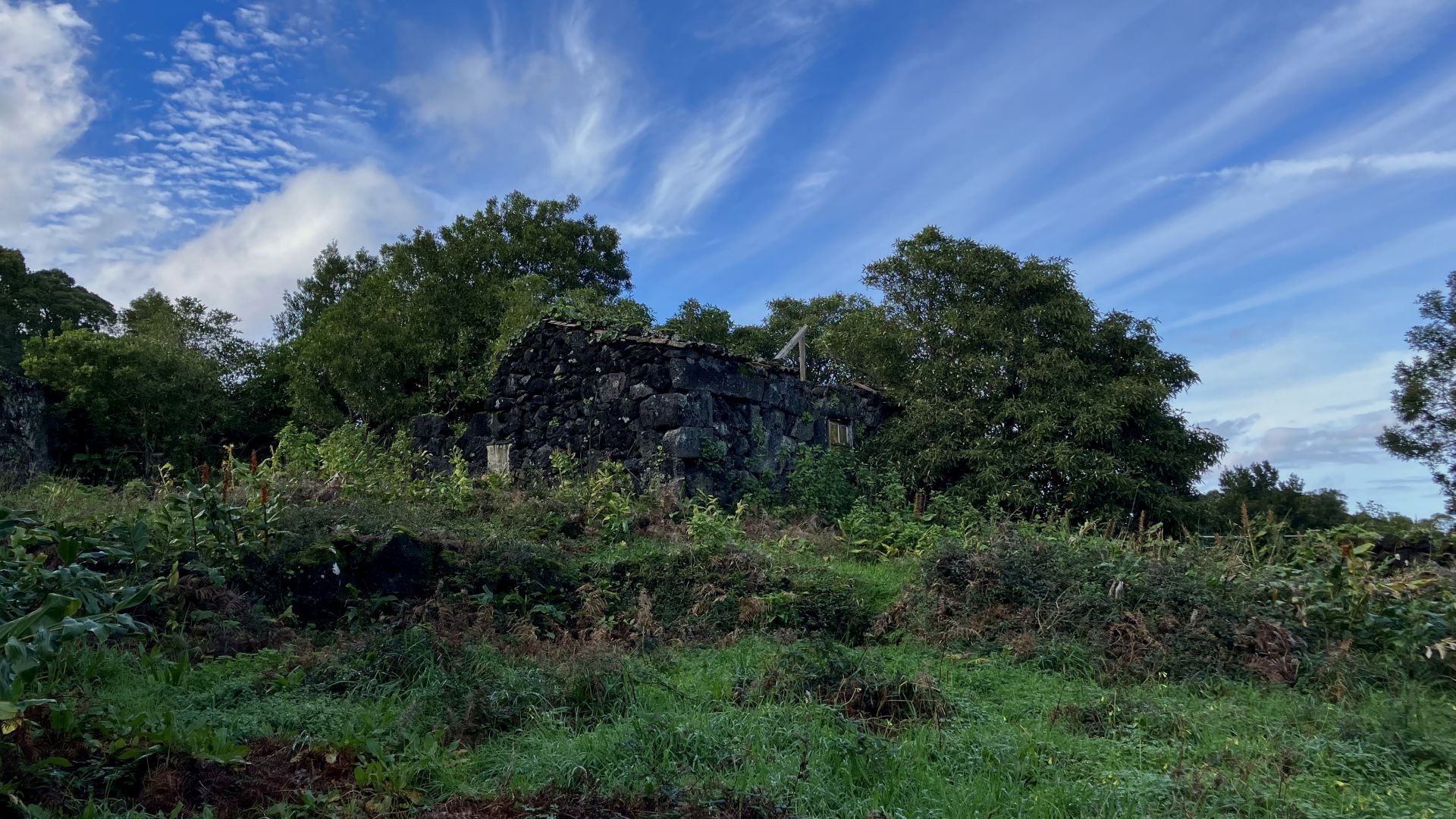 land forest ruin rebuilding