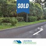 forest plot varadouro faial